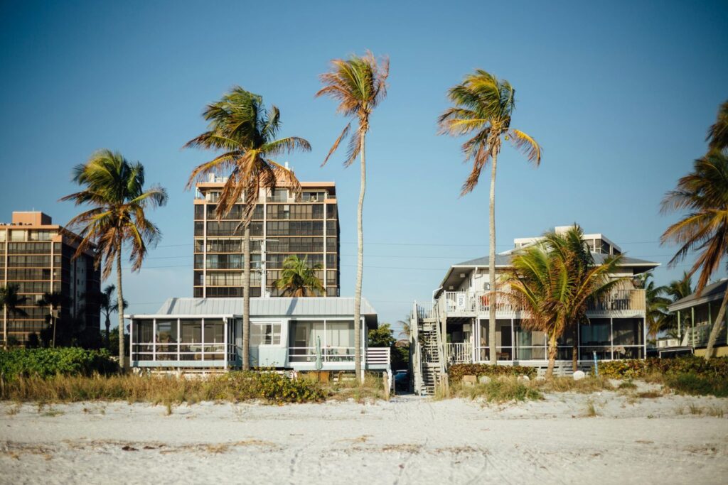 Palm Trees and Buildings Under Blue Sky during Daytime